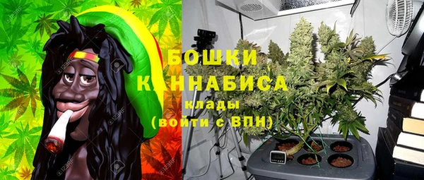 эйфоретик Каменногорск