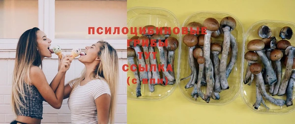круглые Каменка