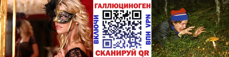 Купить  Борисоглебск  Галлюциногенные грибы Psilocybine cubensis 